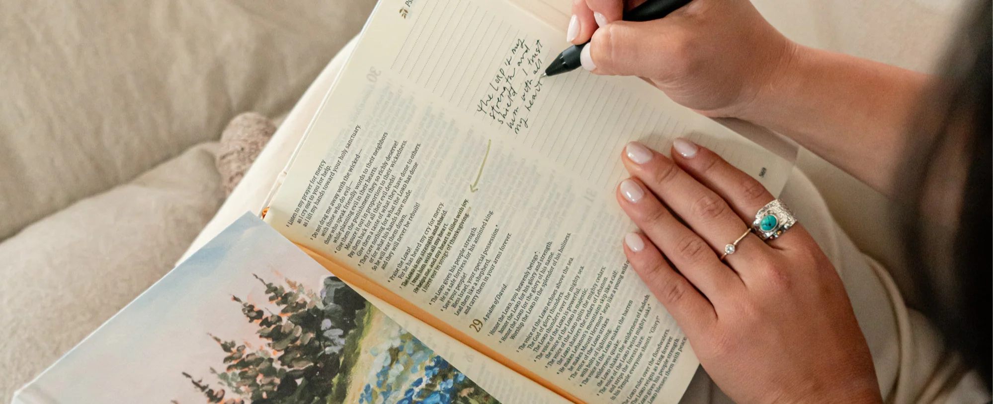 Notebook: Coram Theme - Image 9