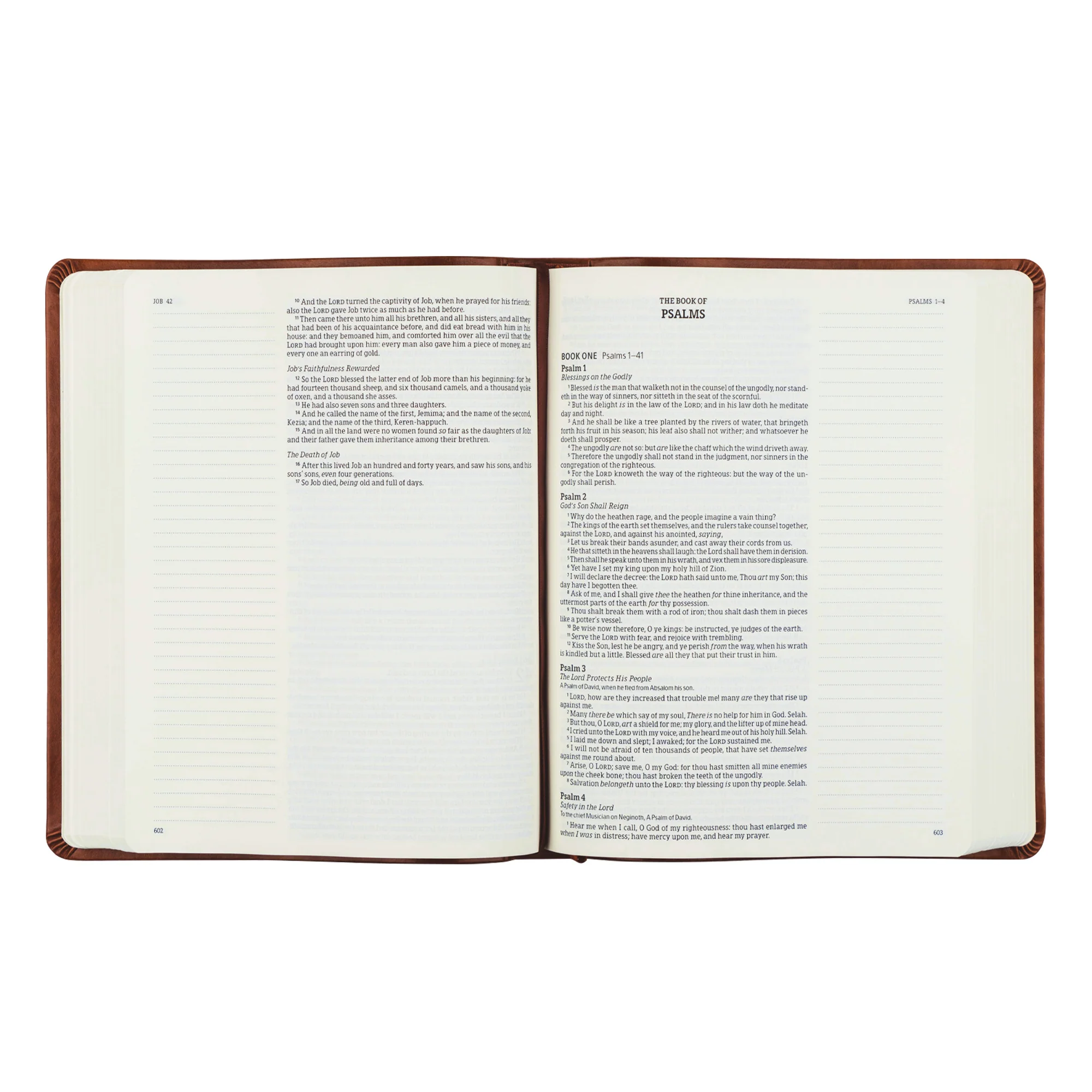 KJV Large Print Notetaking Bible: Vienna Theme - Image 5