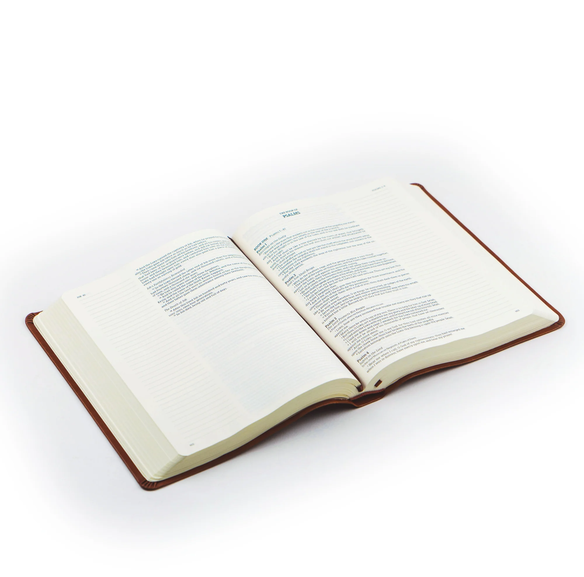 KJV Large Print Notetaking Bible: Vienna Theme - Image 6