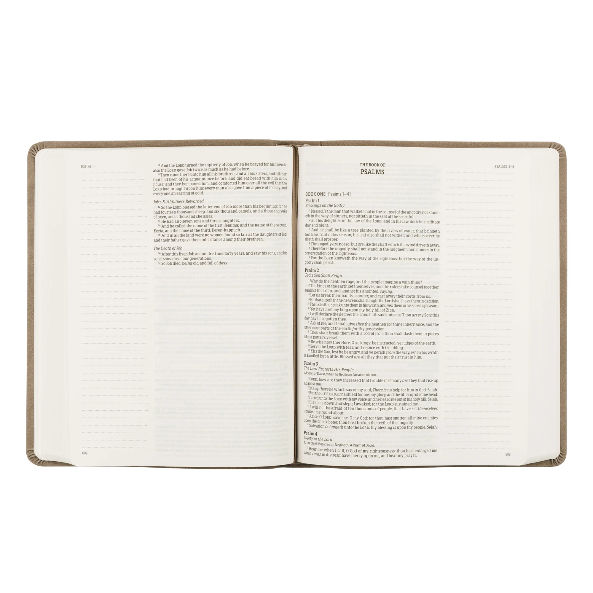 KJV Large Print Notetaking Bible: Marlo Theme - Image 5