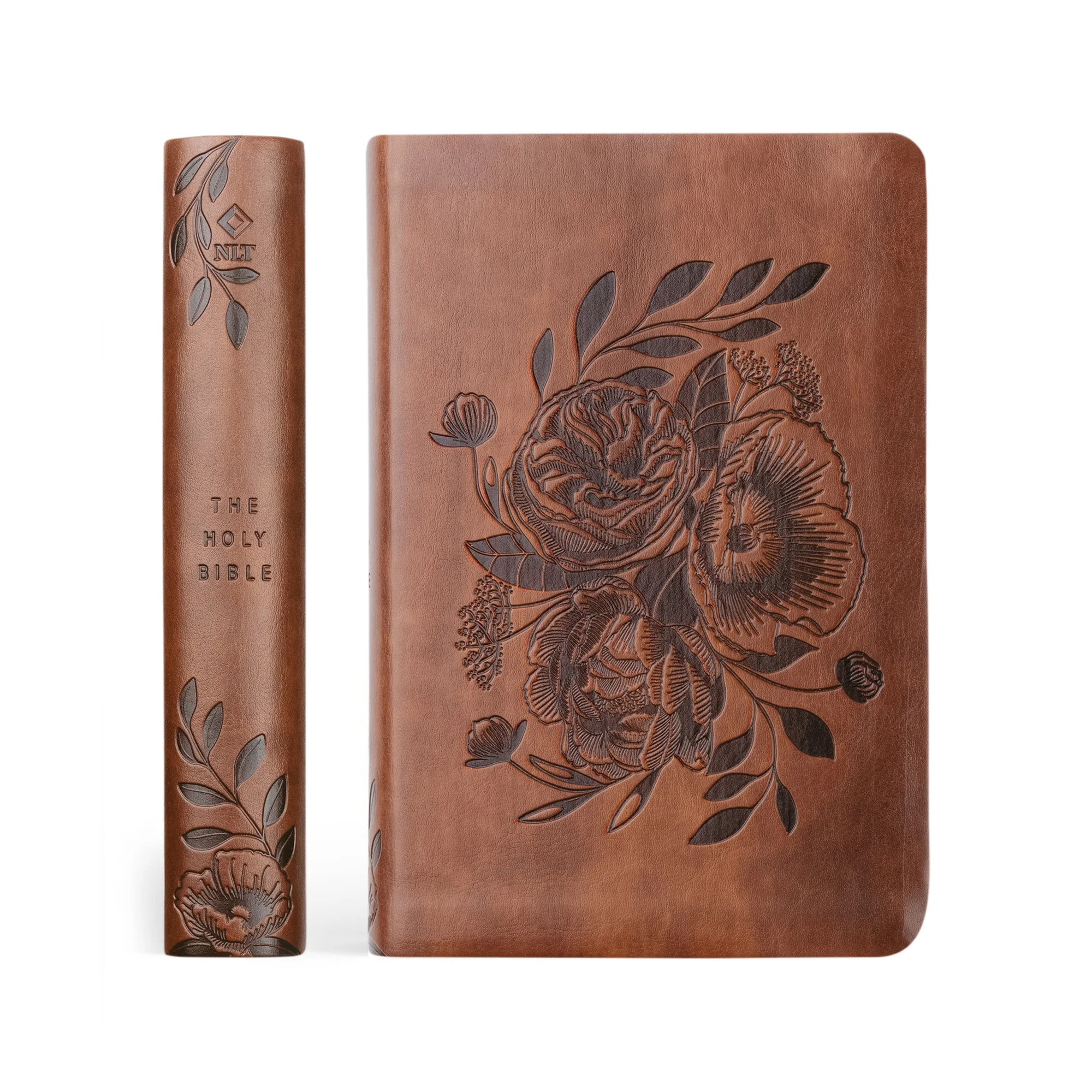 NLT Compact Bible: Aurora Theme - Image 3