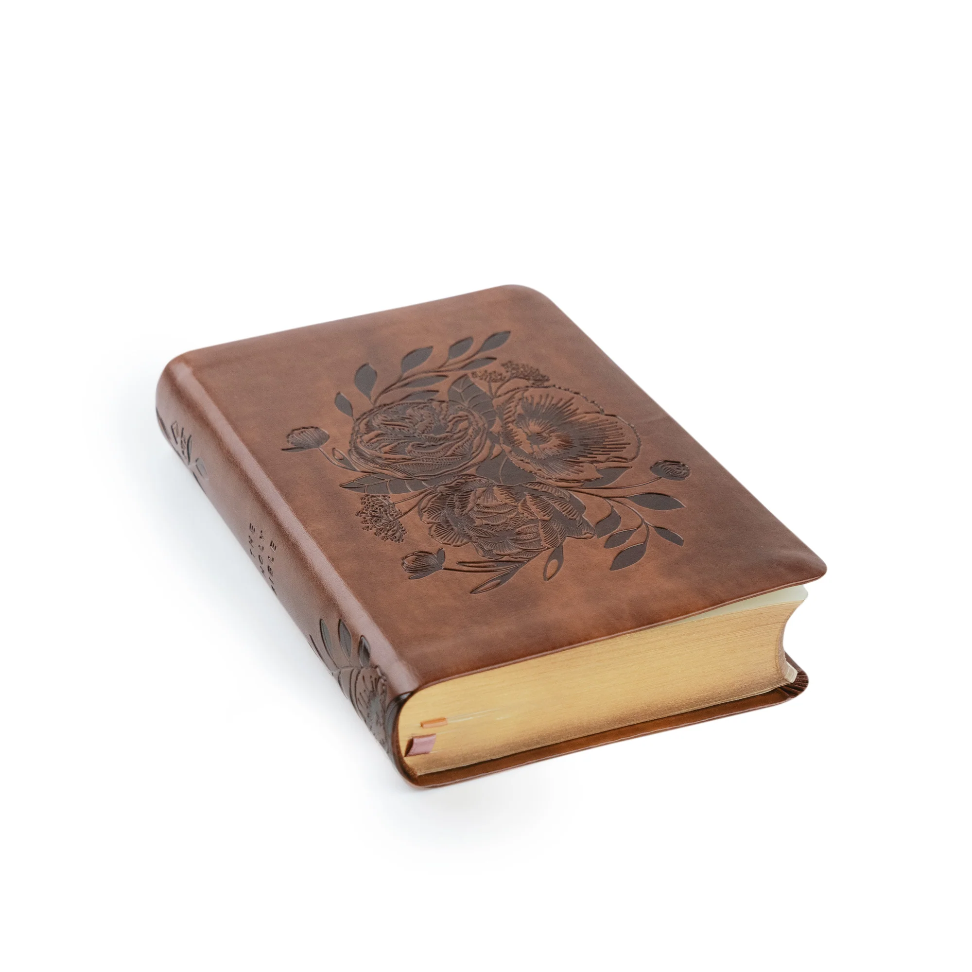 NLT Compact Bible: Aurora Theme - Image 7