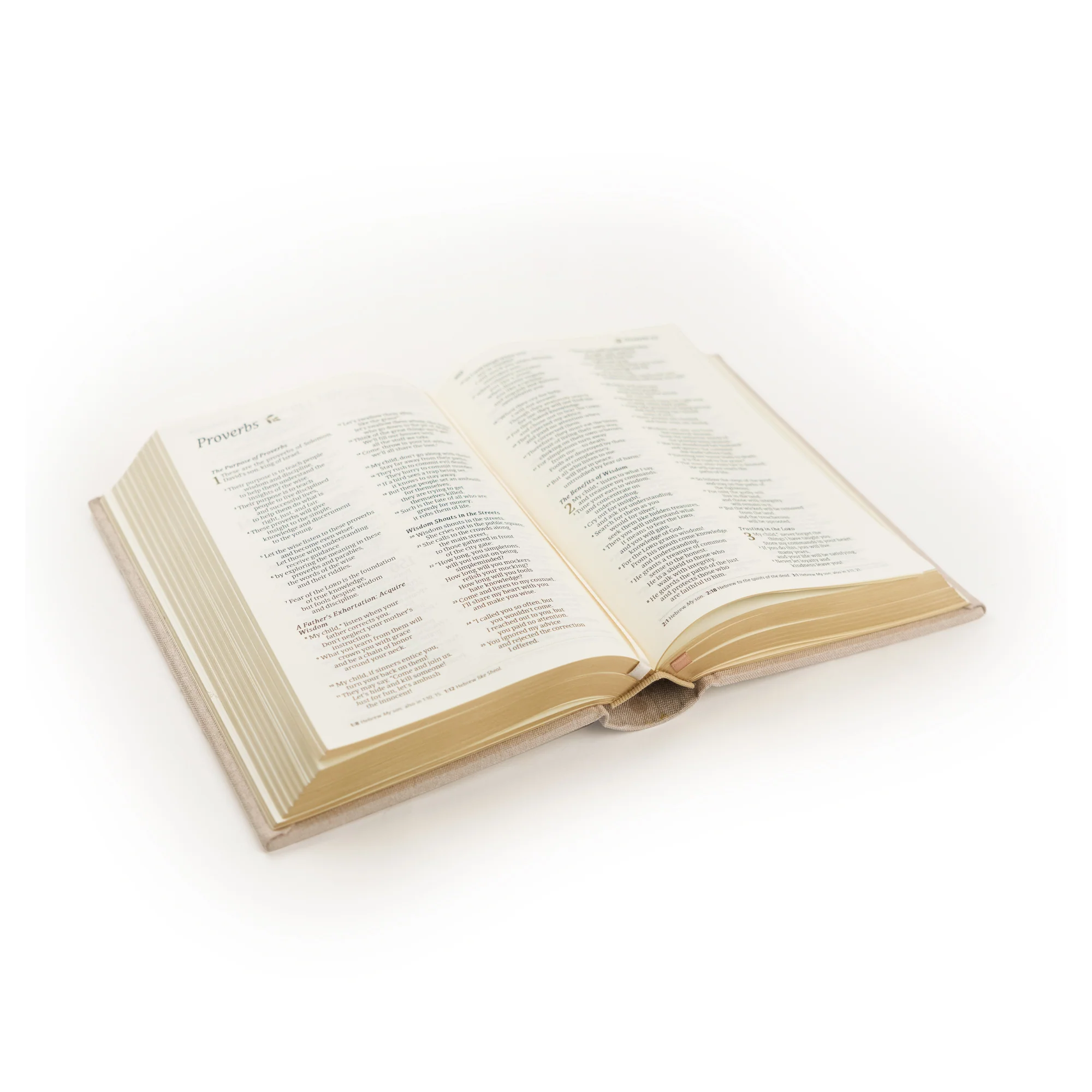 NLT Compact Bible: Casablanca Theme - Image 7