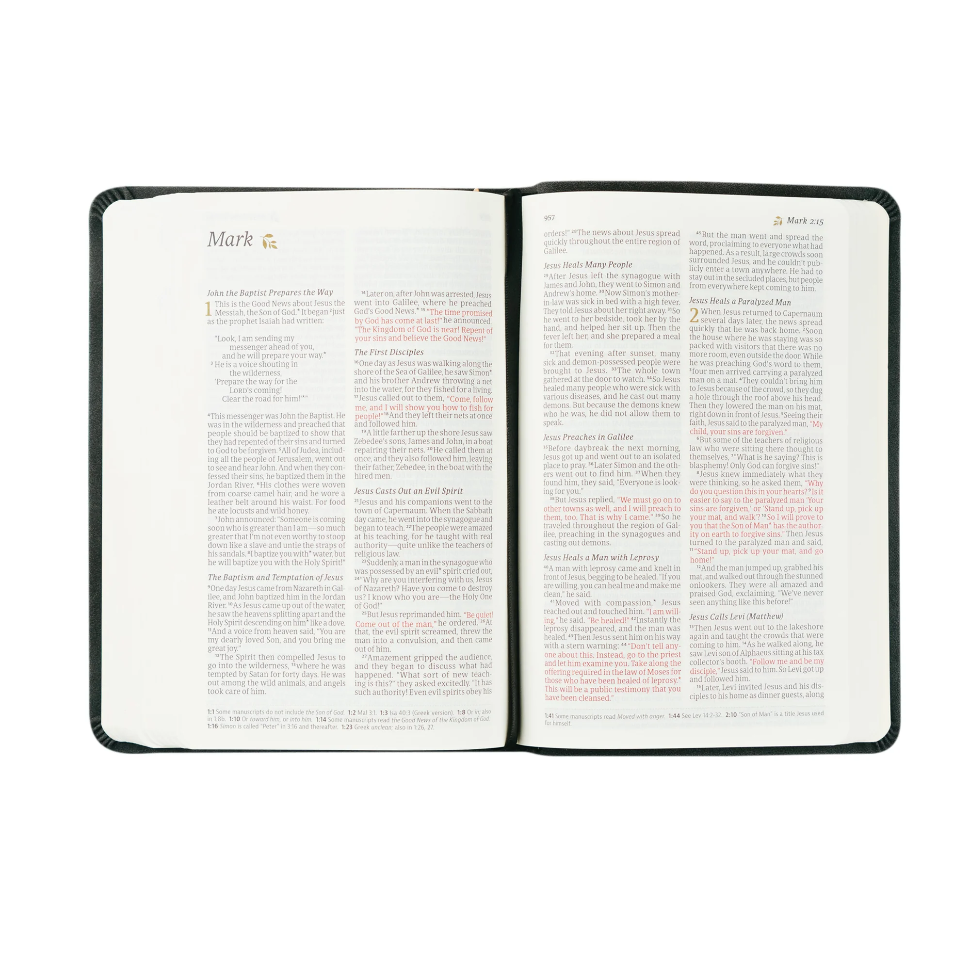NLT Compact Bible: Jerusalem Theme - Image 6