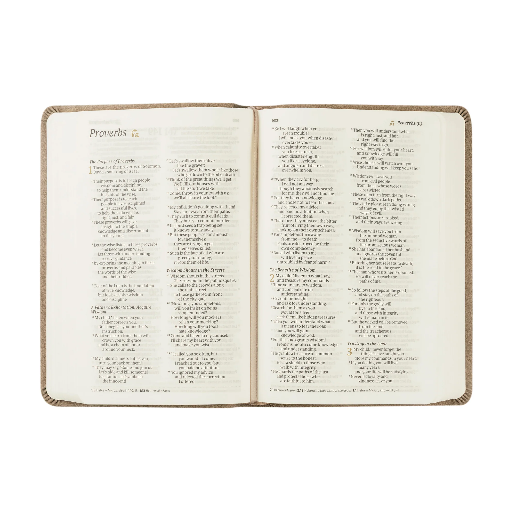 NLT Compact Bible: Marlo Theme - Image 5