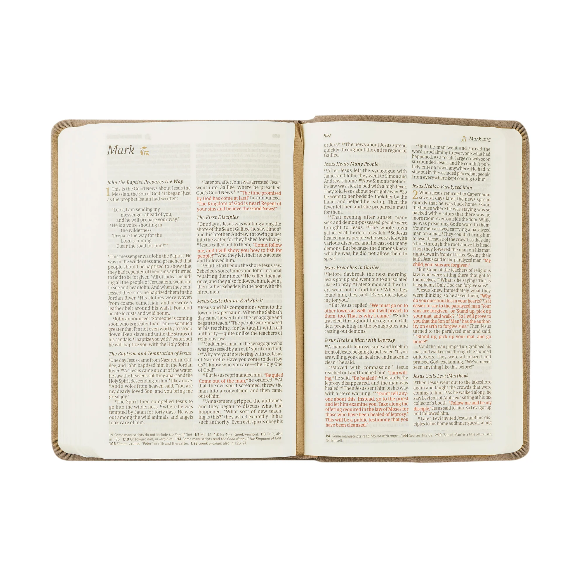 NLT Compact Bible: Marlo Theme - Image 6