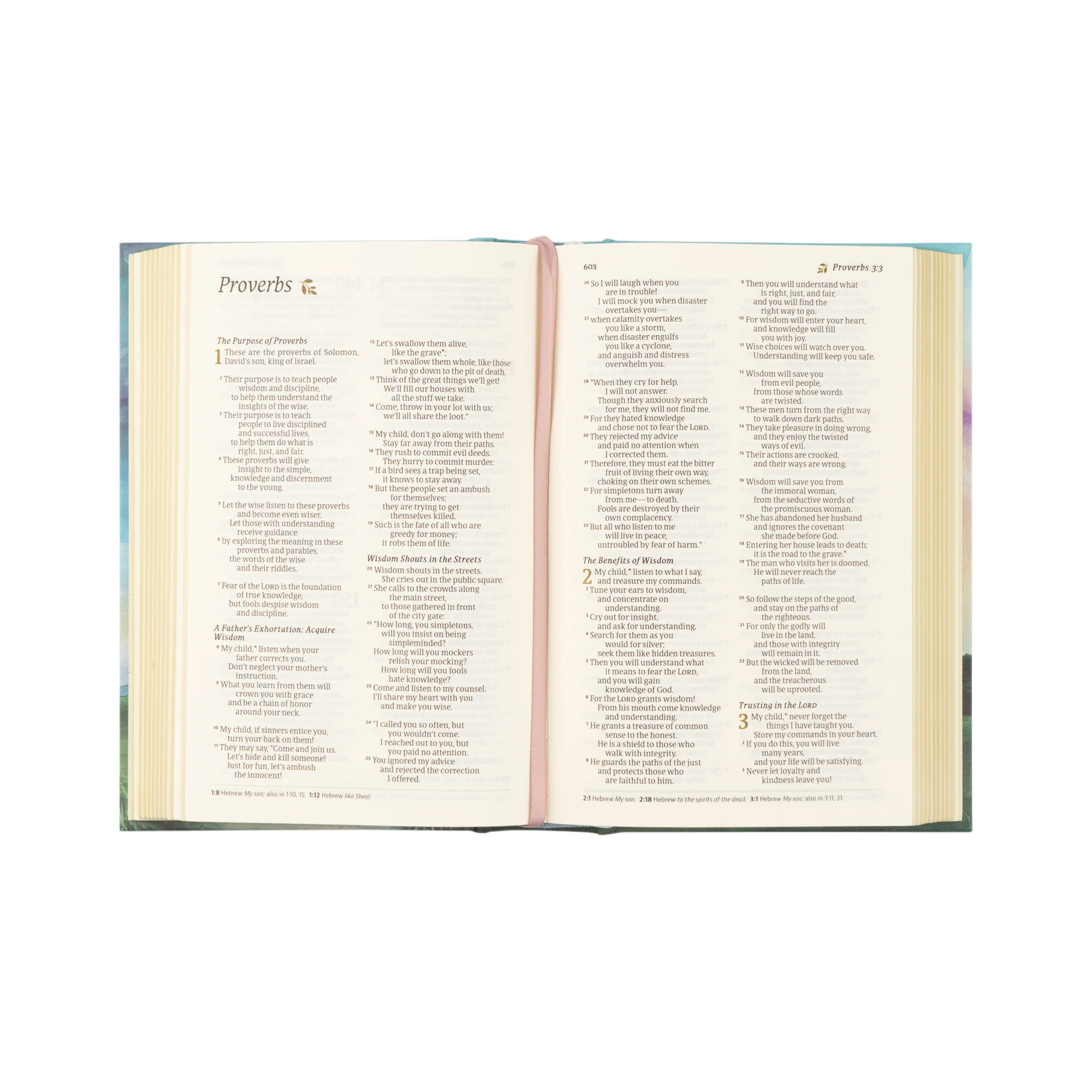 NLT Compact Bible: Prairie Theme - Image 5