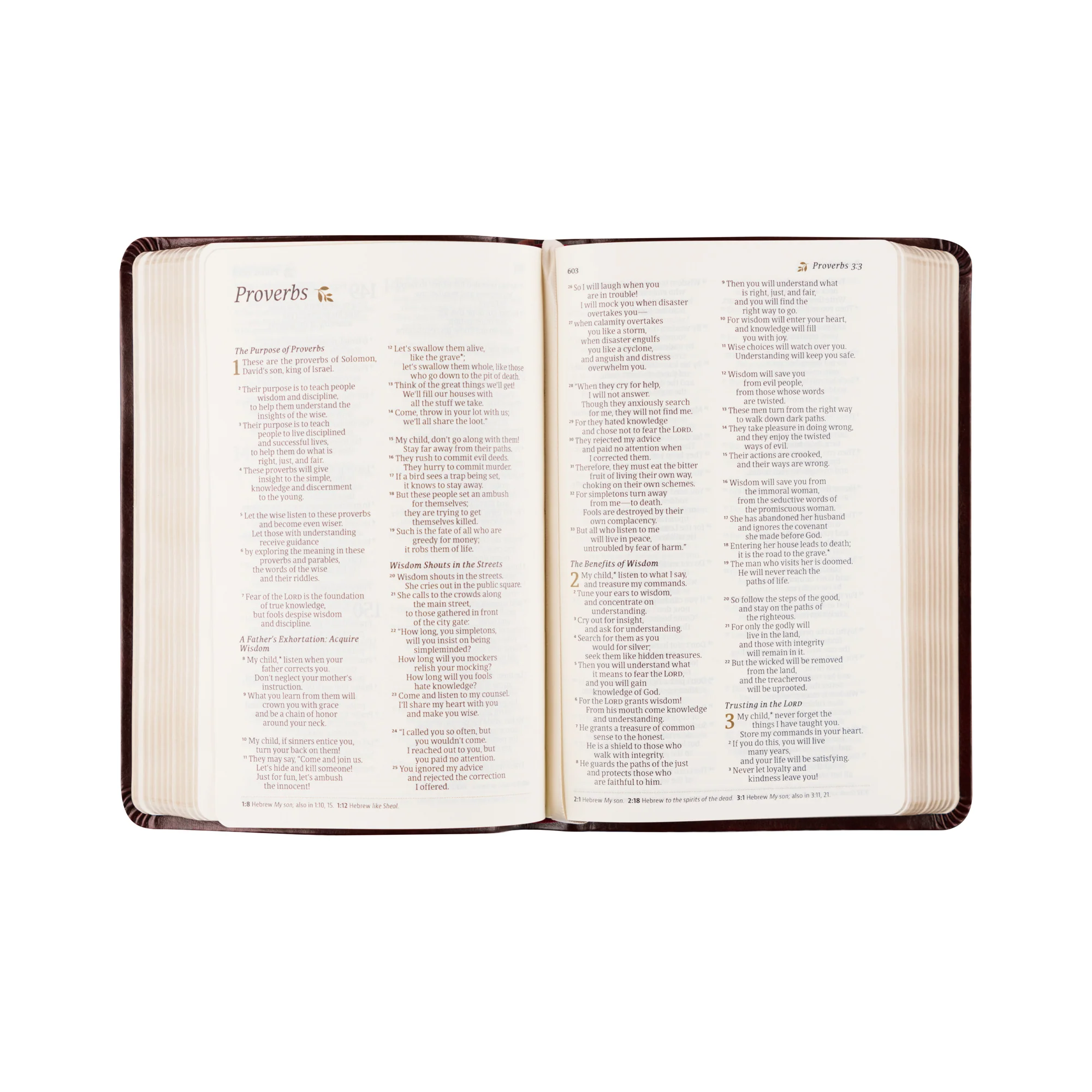 NLT Compact Bible: Yorkshire Theme - Image 5