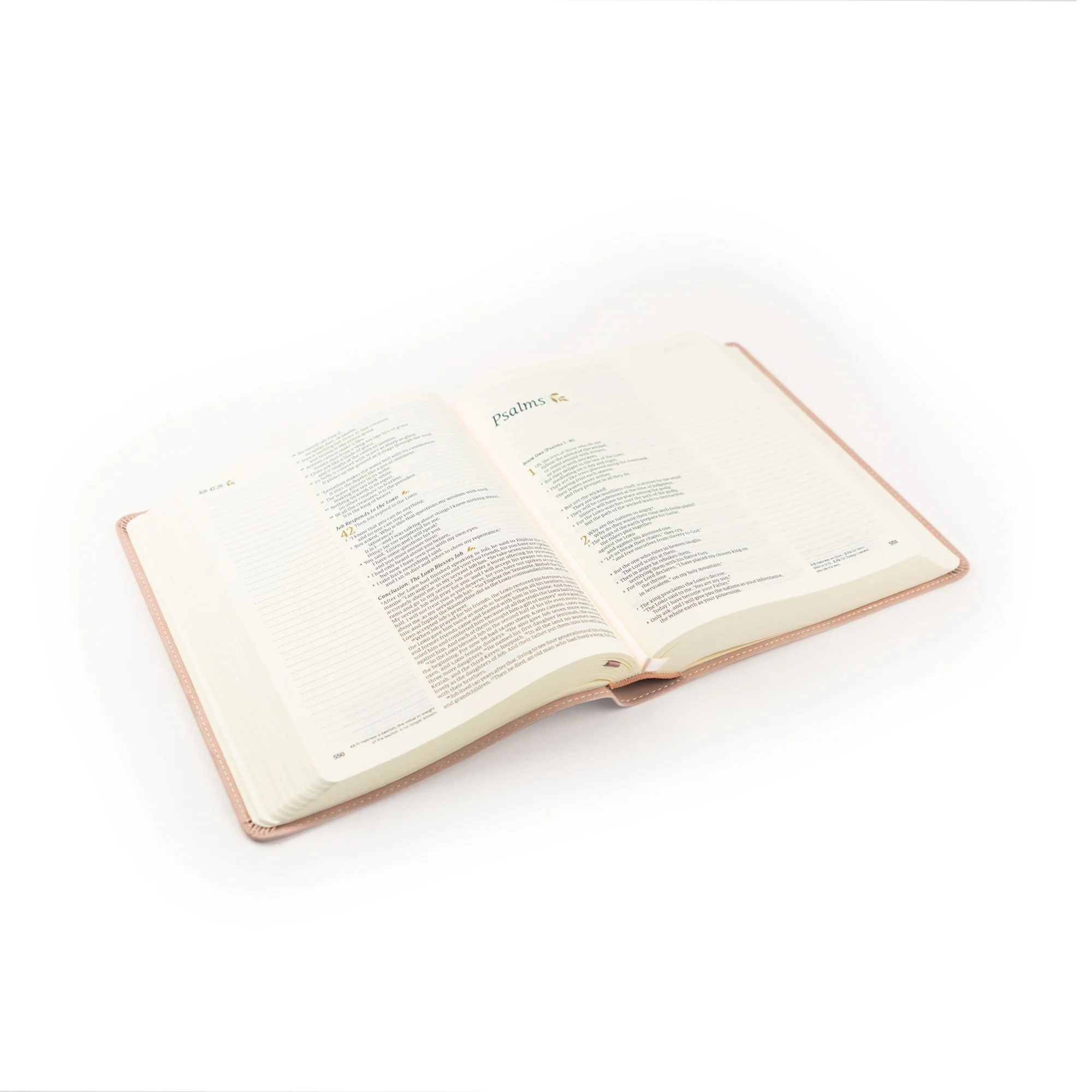 NLT Notetaking Bible: Shiloh Theme - Image 6