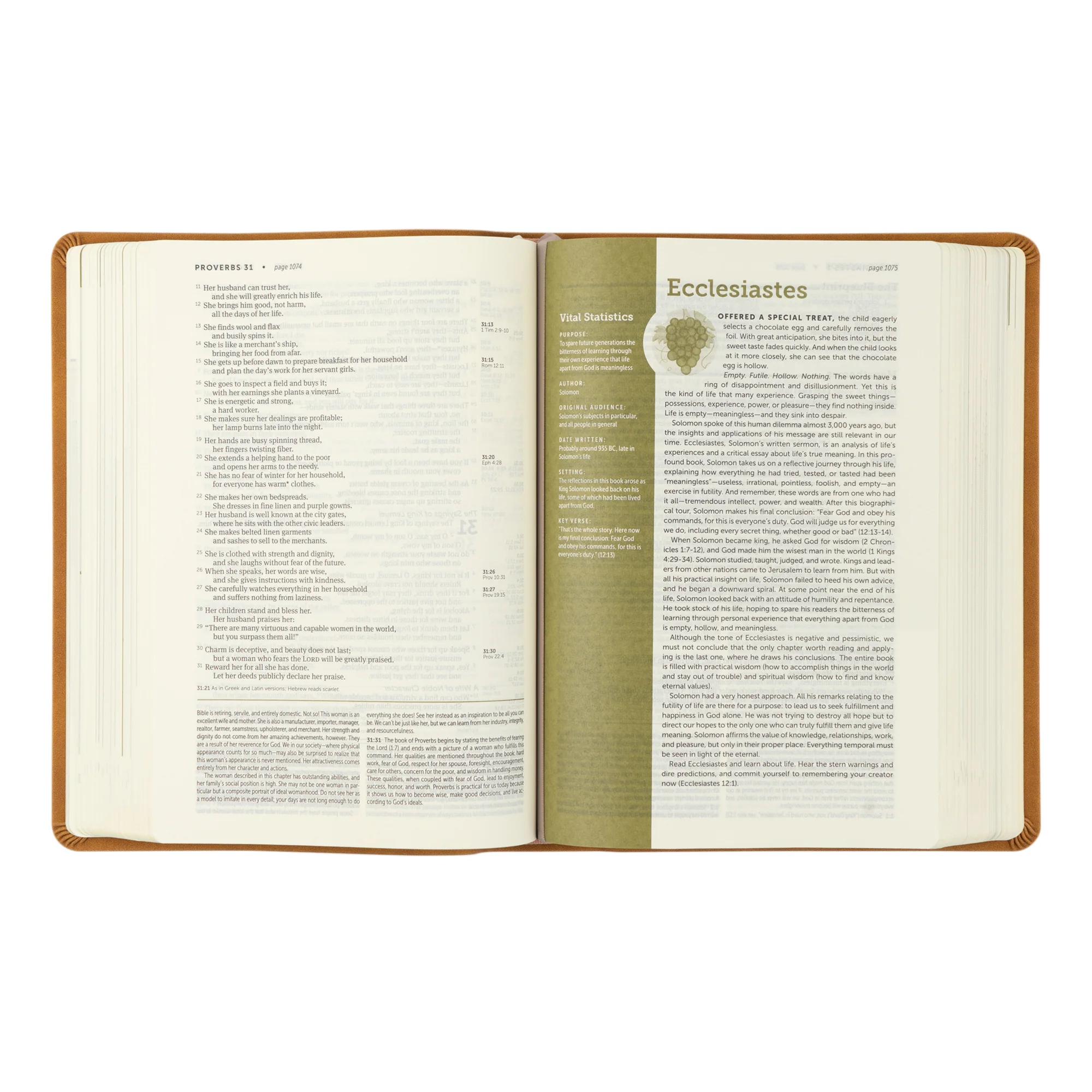 NLT Life Application Study Bible: Amelia Theme - Image 5