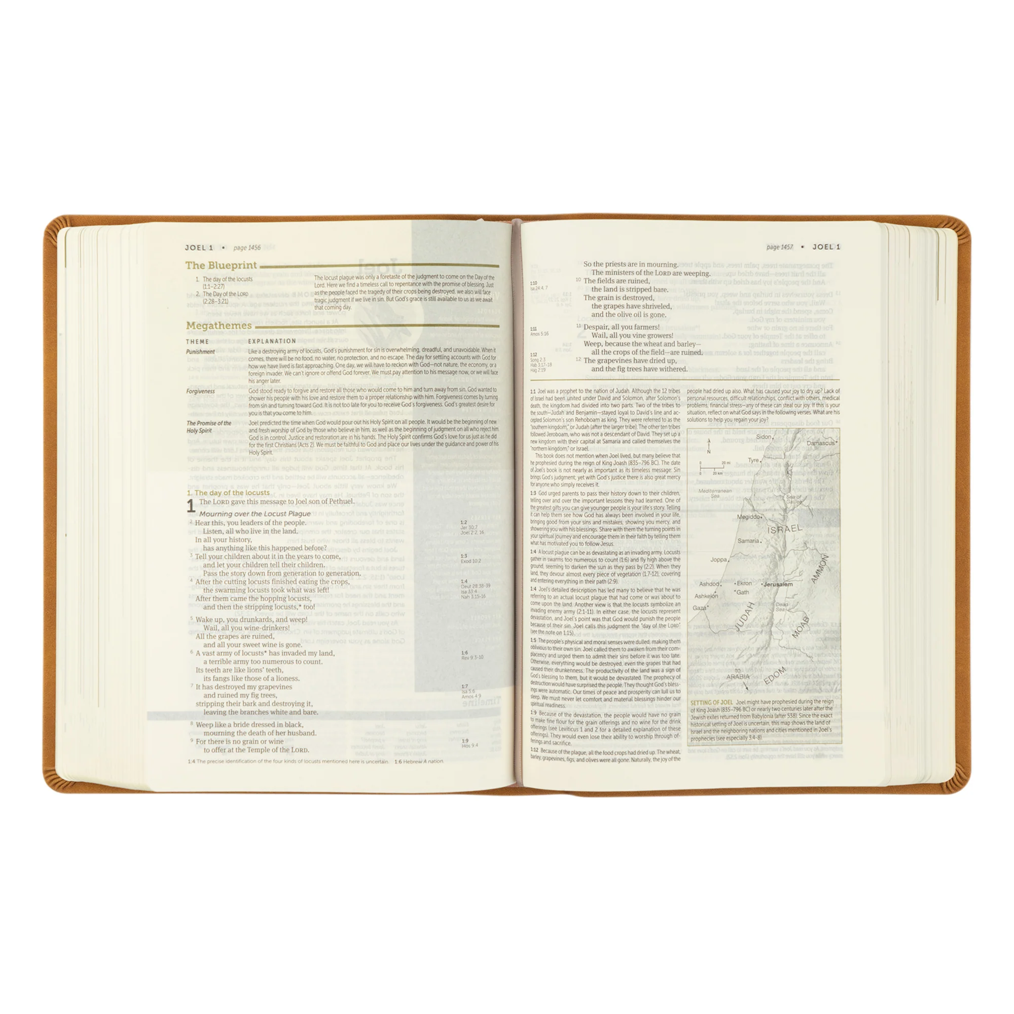 NLT Life Application Study Bible: Amelia Theme - Image 6