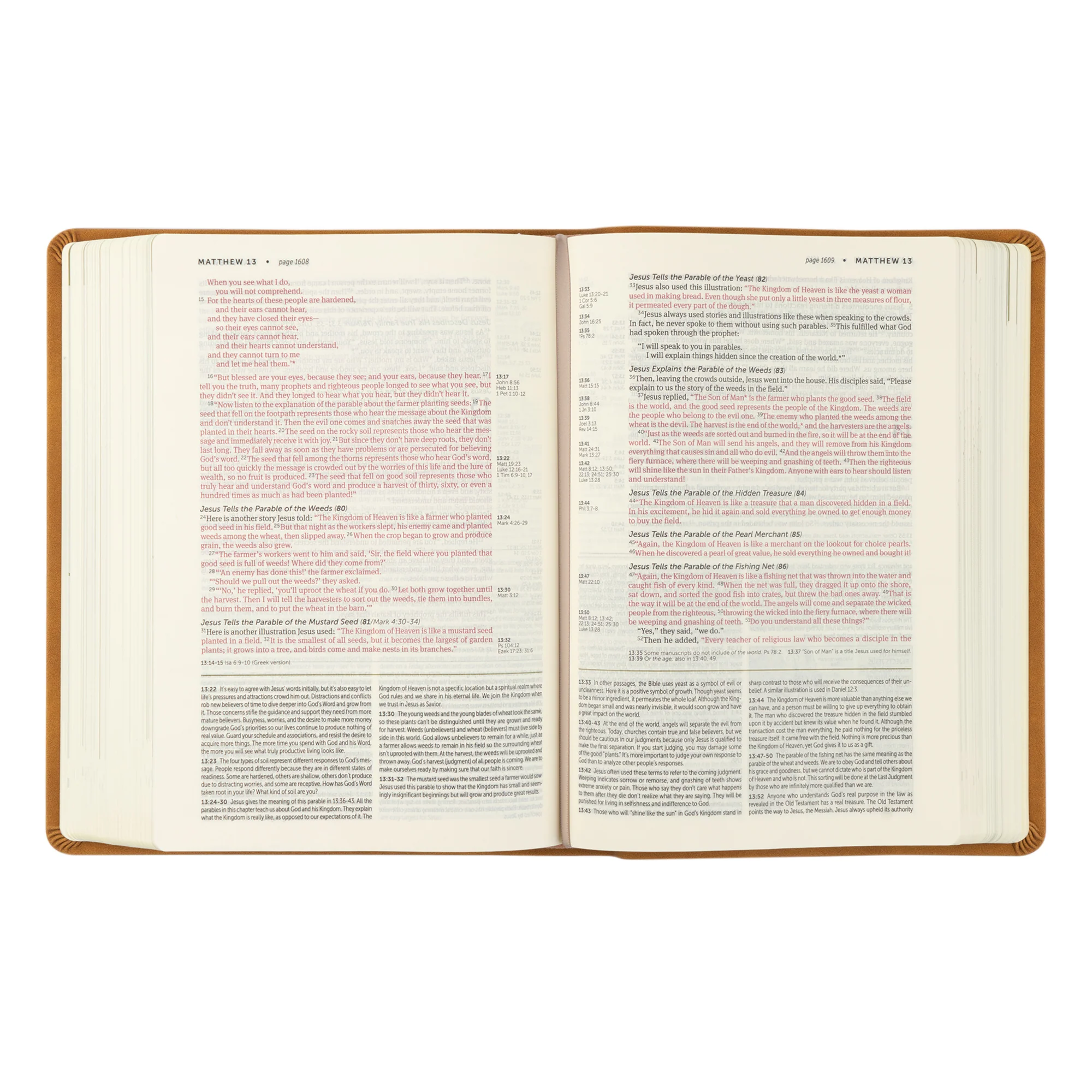 NLT Life Application Study Bible: Amelia Theme - Image 7