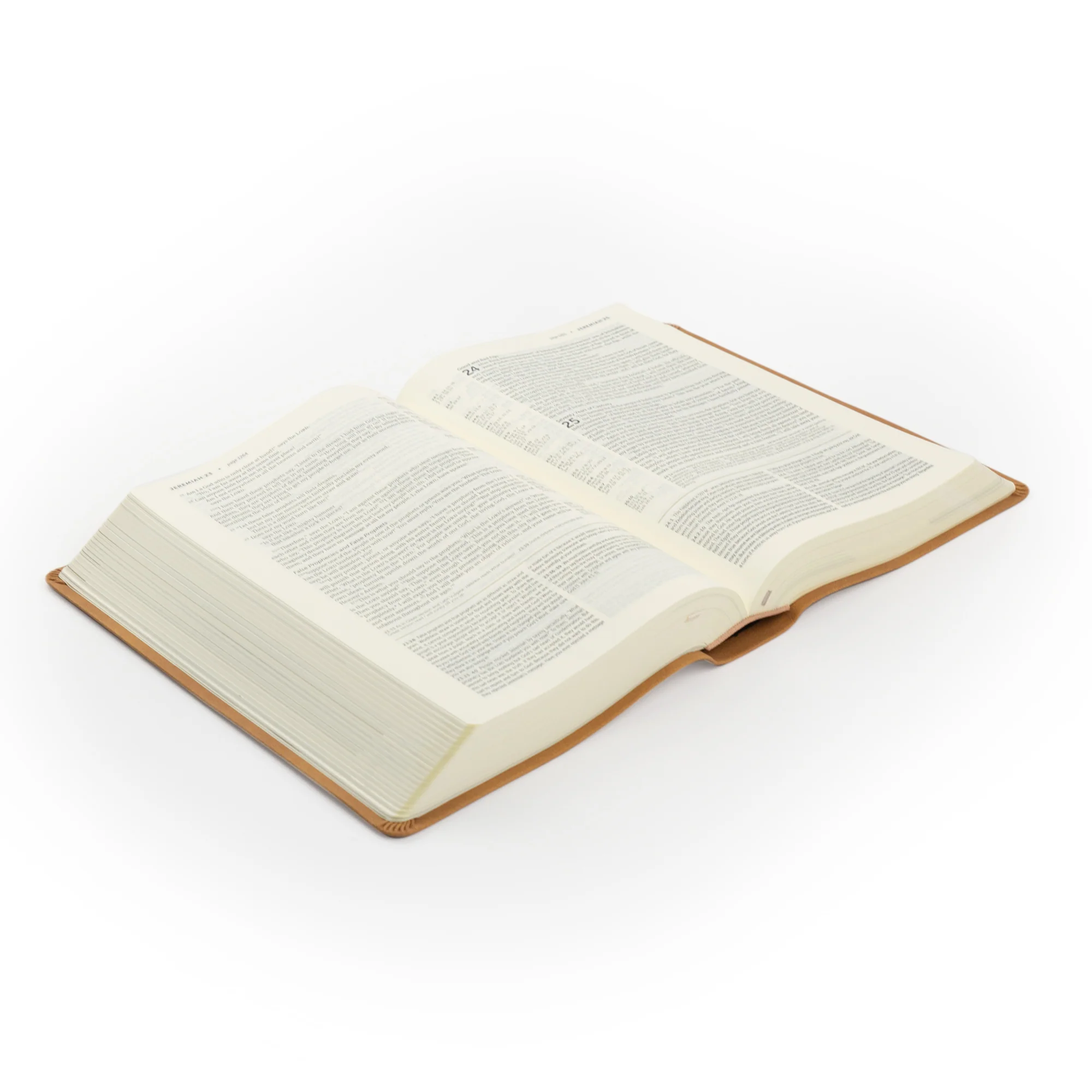 NLT Life Application Study Bible: Amelia Theme - Image 8