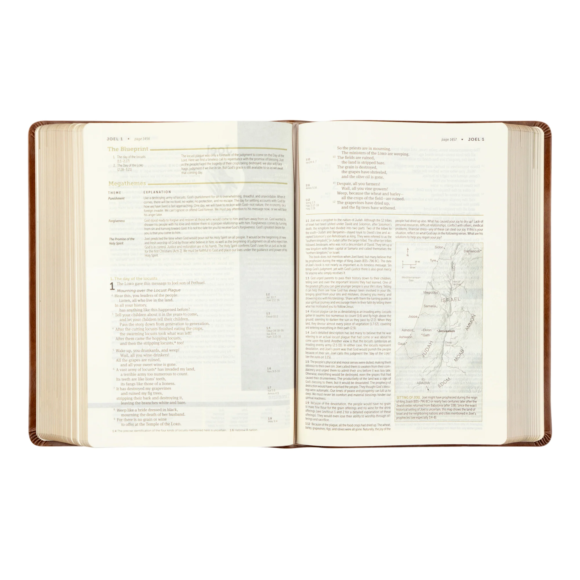NLT Life Application Study Bible: Edinburgh Theme - Image 5