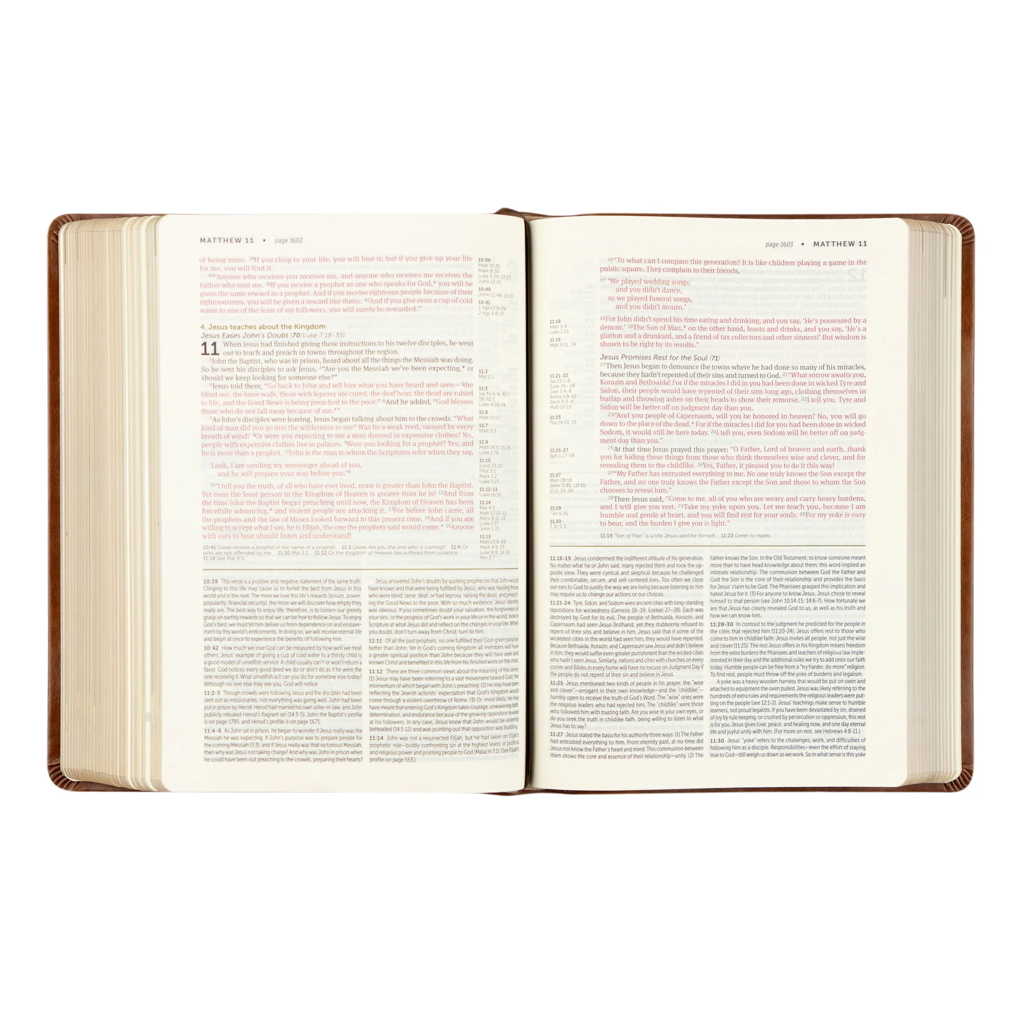 NLT Life Application Study Bible: Edinburgh Theme - Image 6