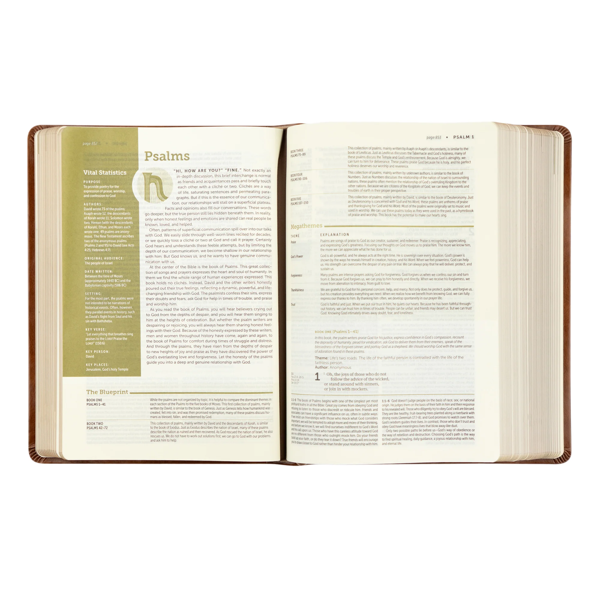 NLT Life Application Study Bible: Edinburgh Theme - Image 7