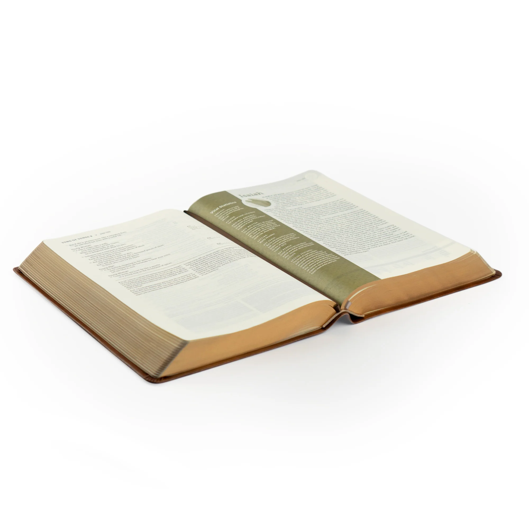 NLT Life Application Study Bible: Edinburgh Theme - Image 8