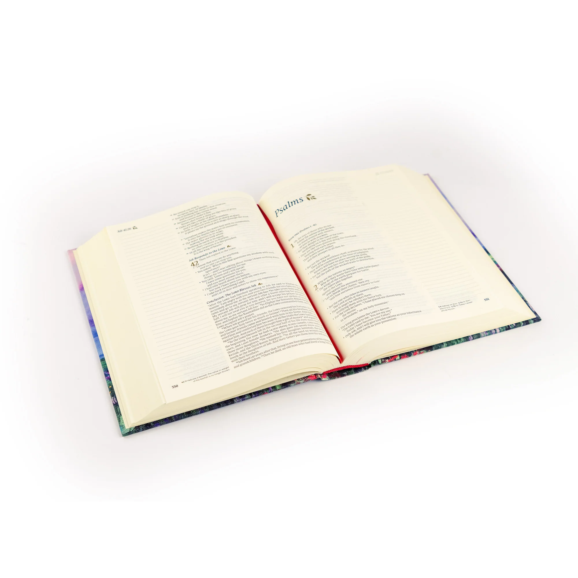 NLT Notetaking Bible: Cana Theme - Image 6