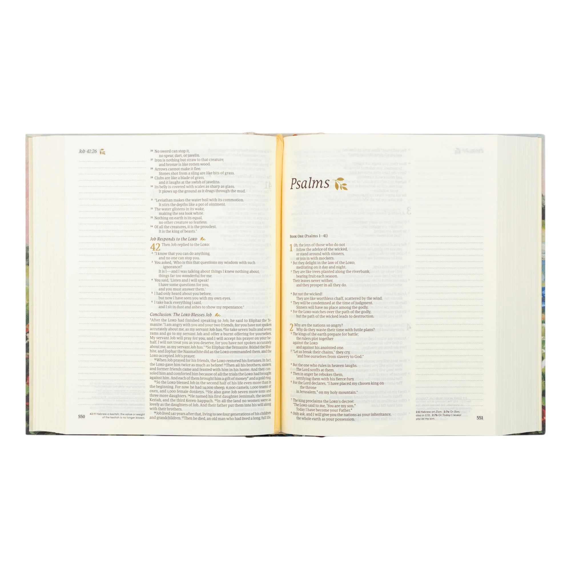NLT Notetaking Bible: Coram Theme - Image 5