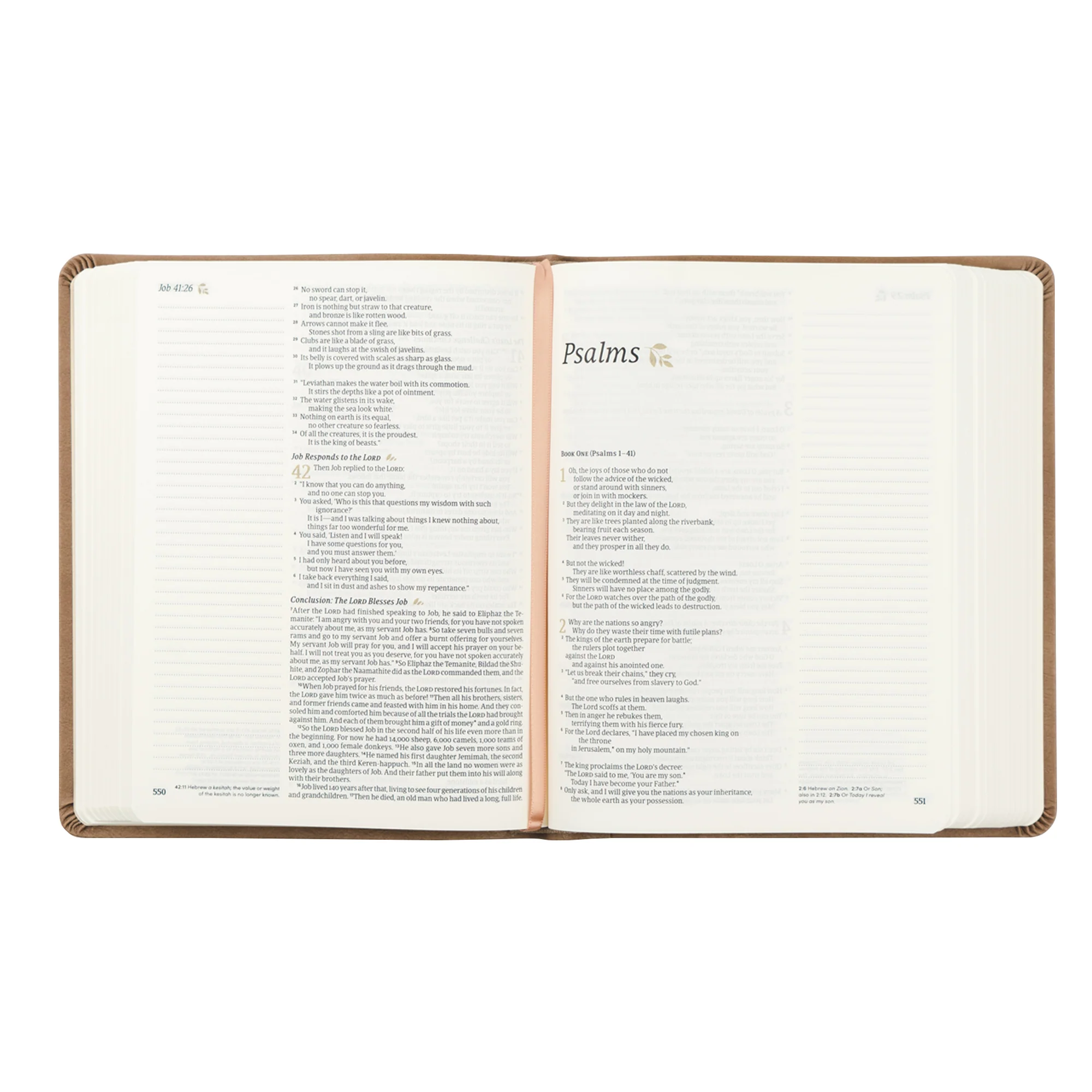 NLT Notetaking Bible: Galilee Theme - Image 5