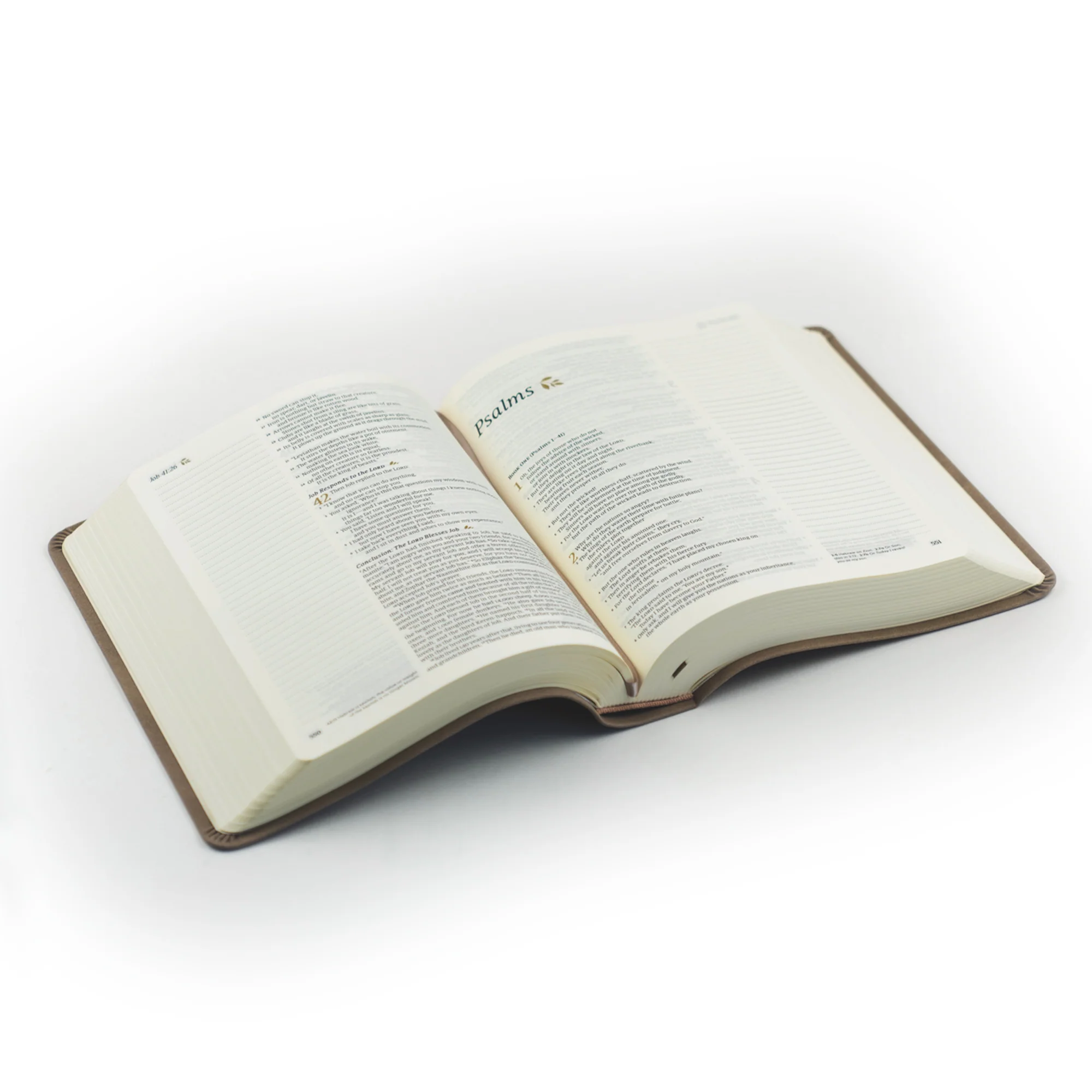 NLT Notetaking Bible: Marlo Theme - Image 6