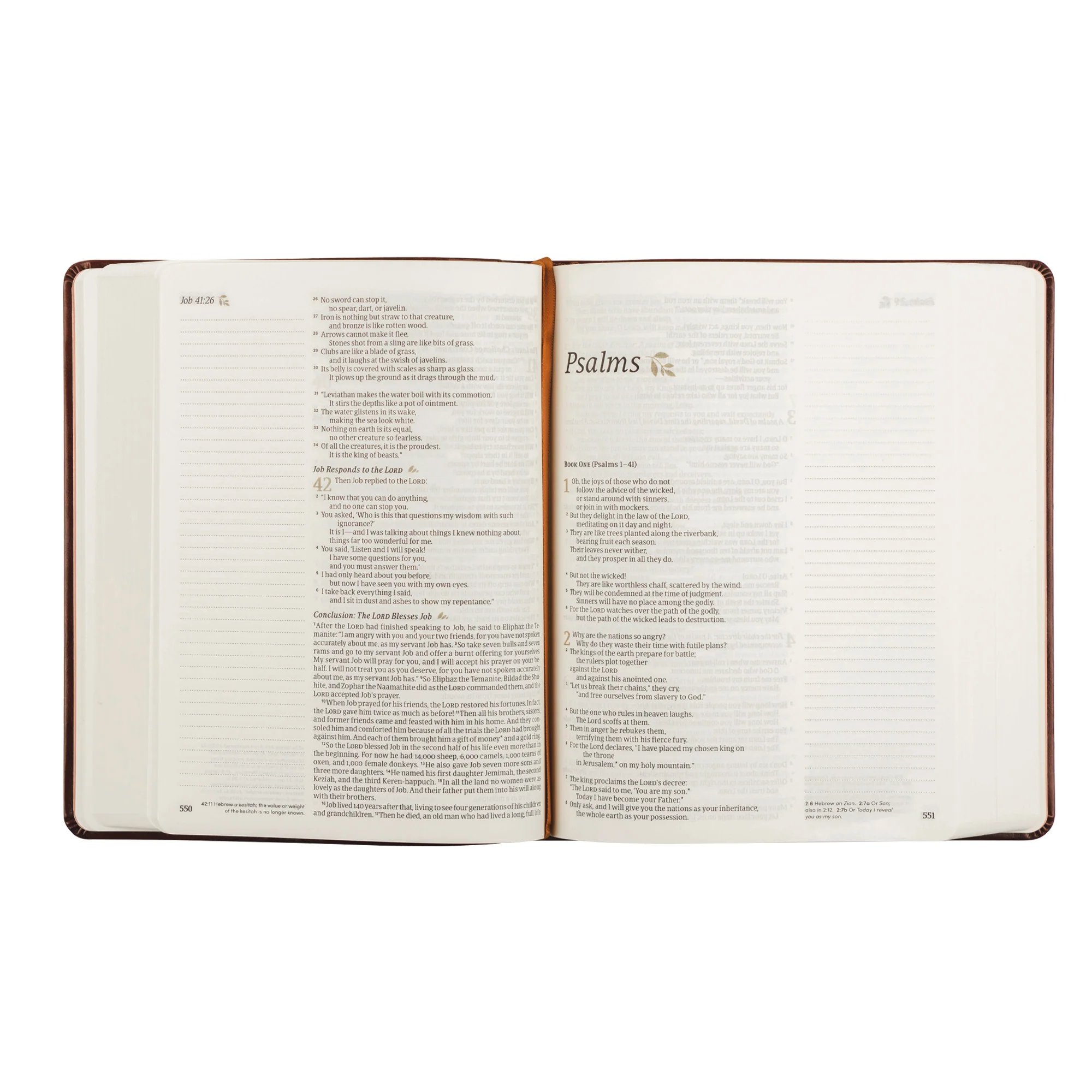 NLT Notetaking Bible: Santa Elena Theme - Image 5