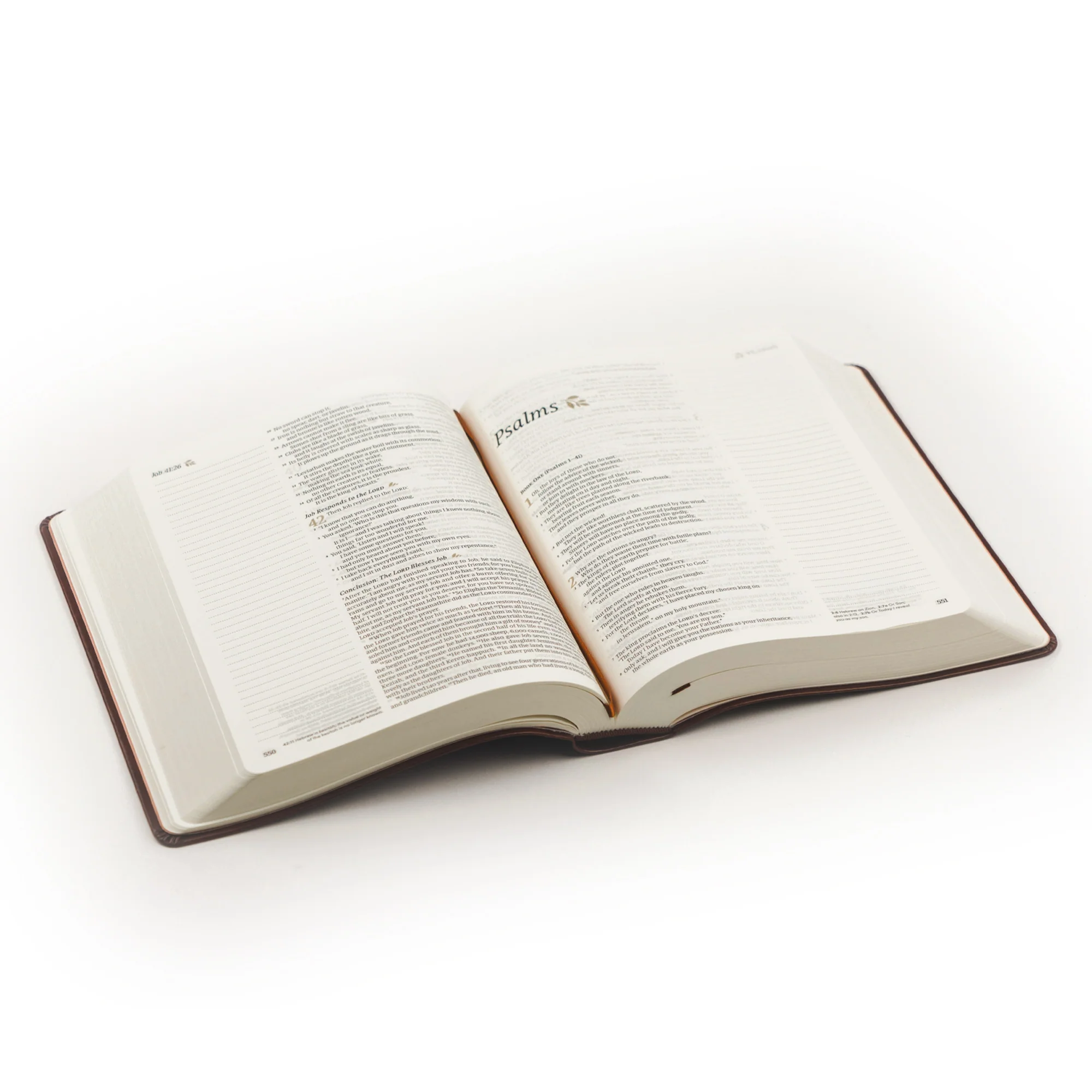 NLT Notetaking Bible: Santa Elena Theme - Image 6