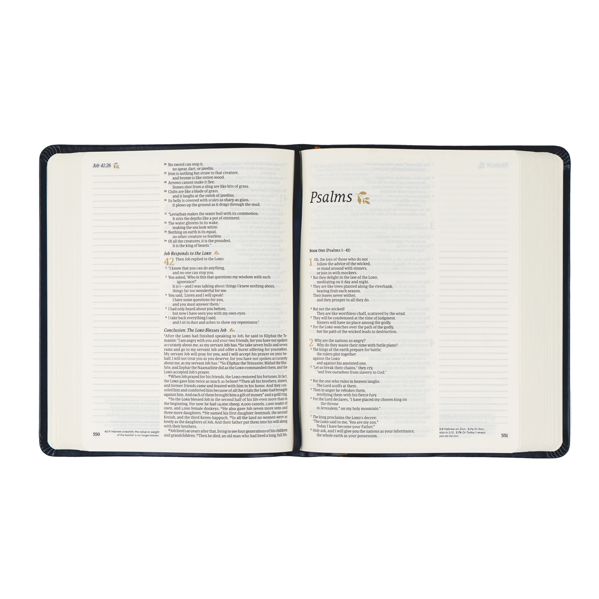 NLT Notetaking Bible: Versailles Theme - Image 5