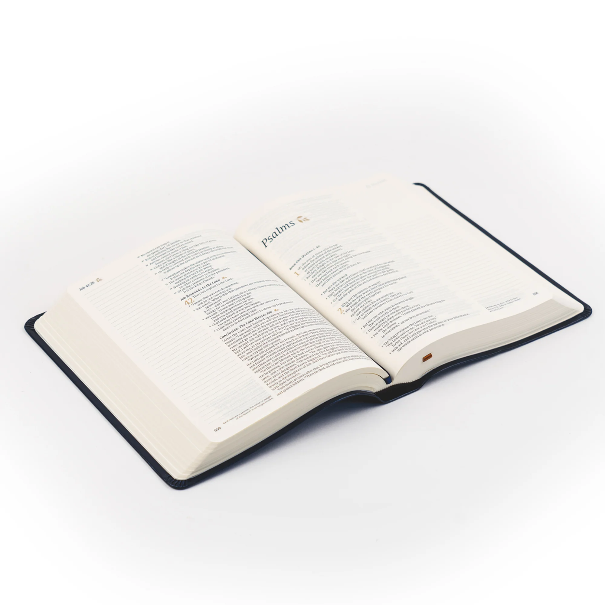 NLT Notetaking Bible: Versailles Theme - Image 6
