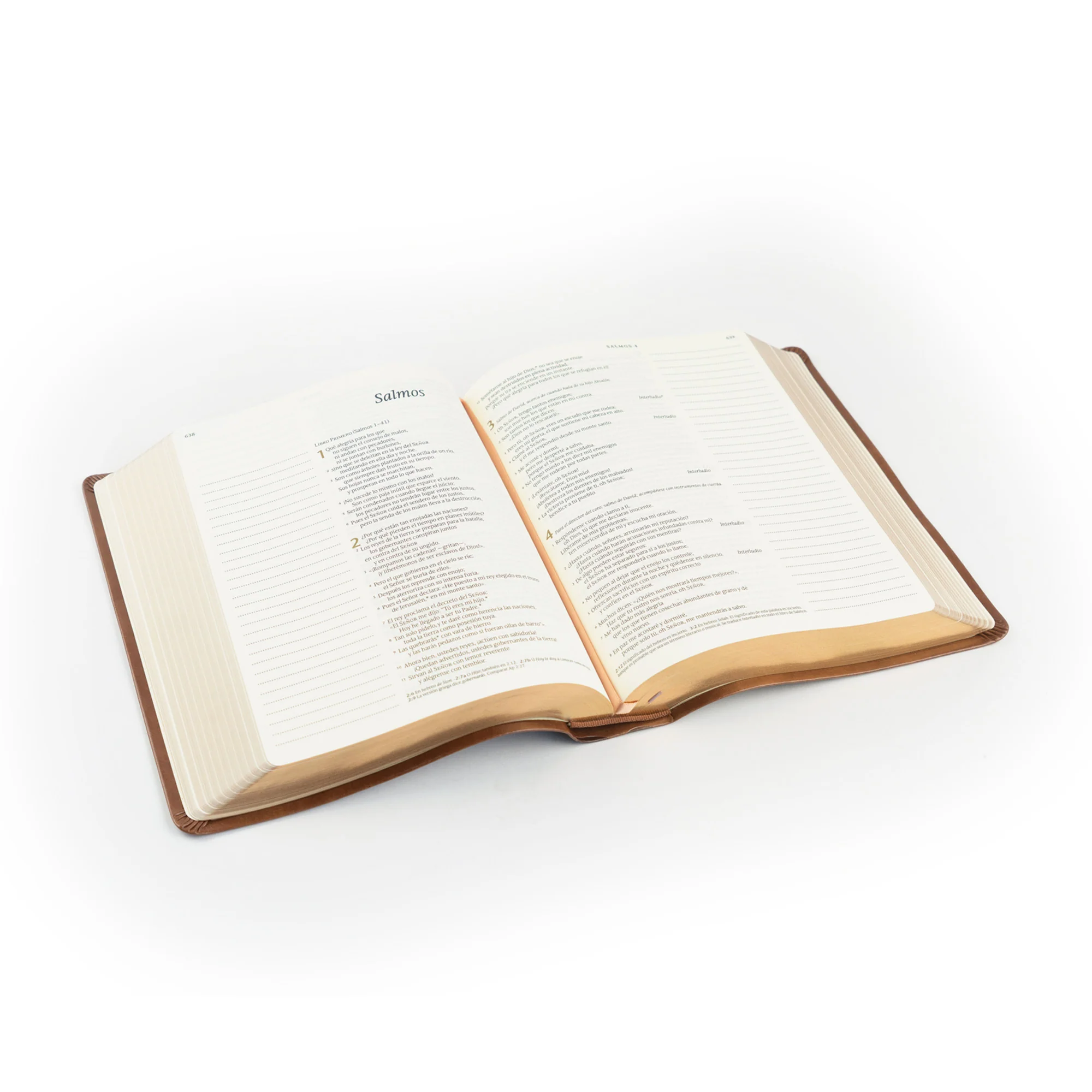 NTV Spanish Notetaking Bible: Aurora Theme - Image 6