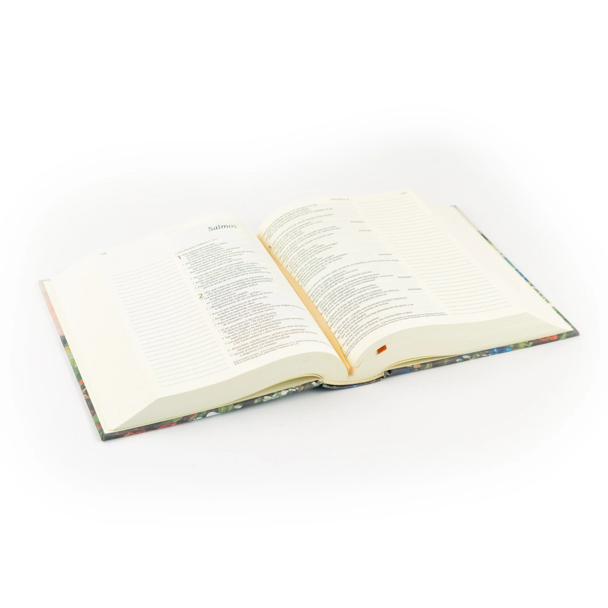NTV Spanish Notetaking Bible: Coram Theme - Image 6