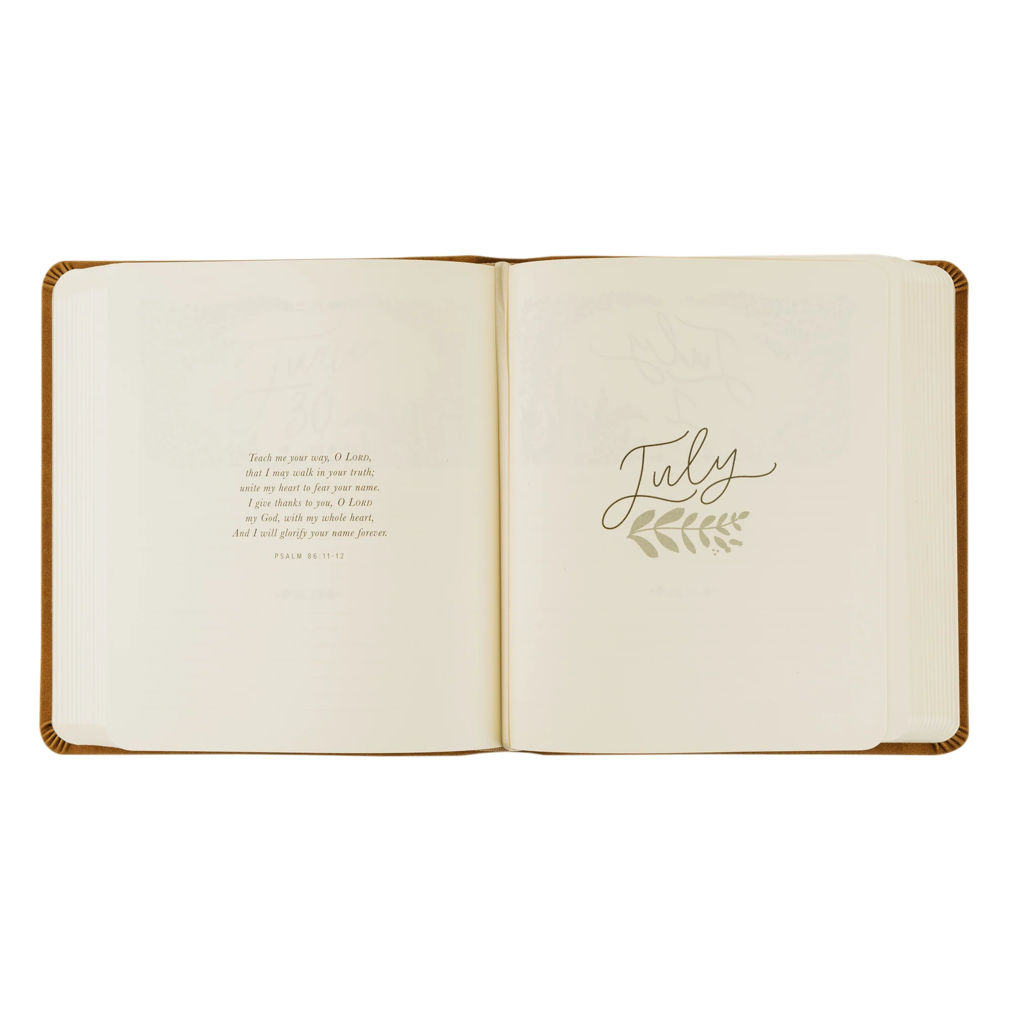 One Thing I Ask 5-Year Prayer Journal: Amelia Theme - Image 6