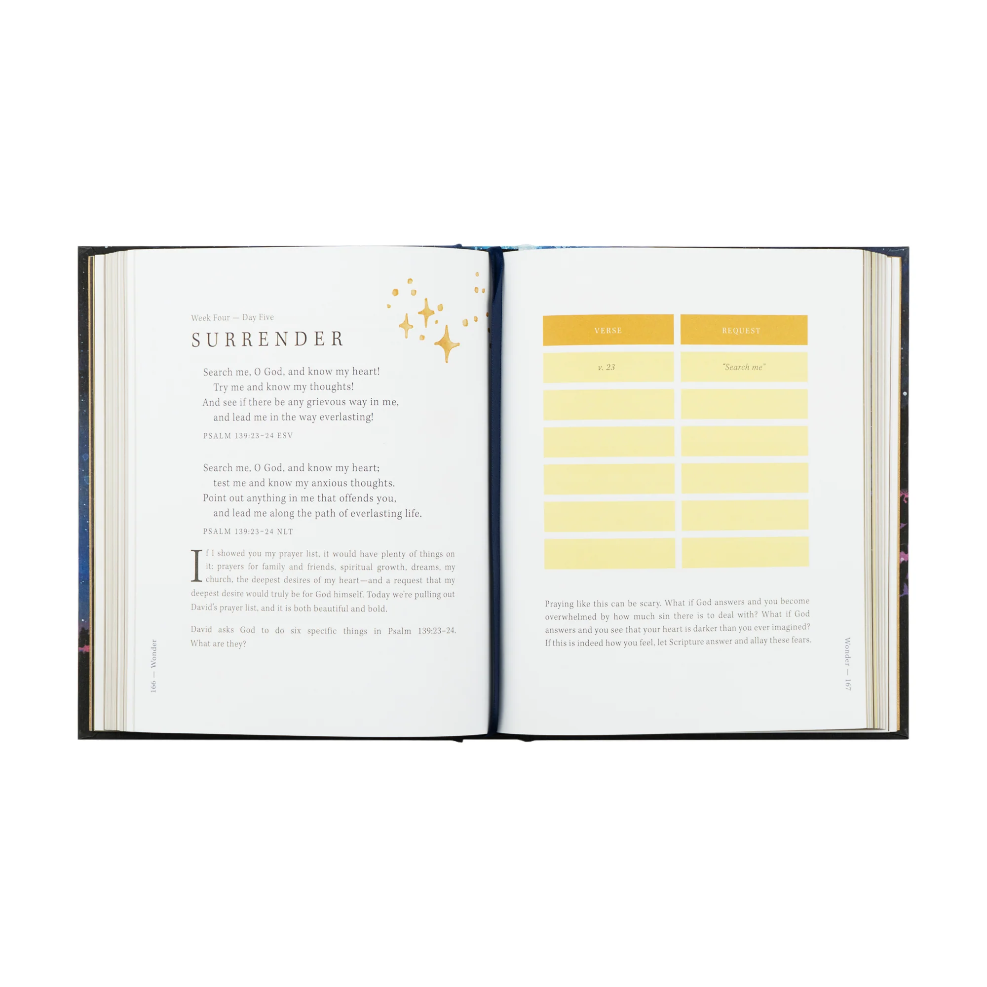 Wonder by Alicia Hamilton - Image 13