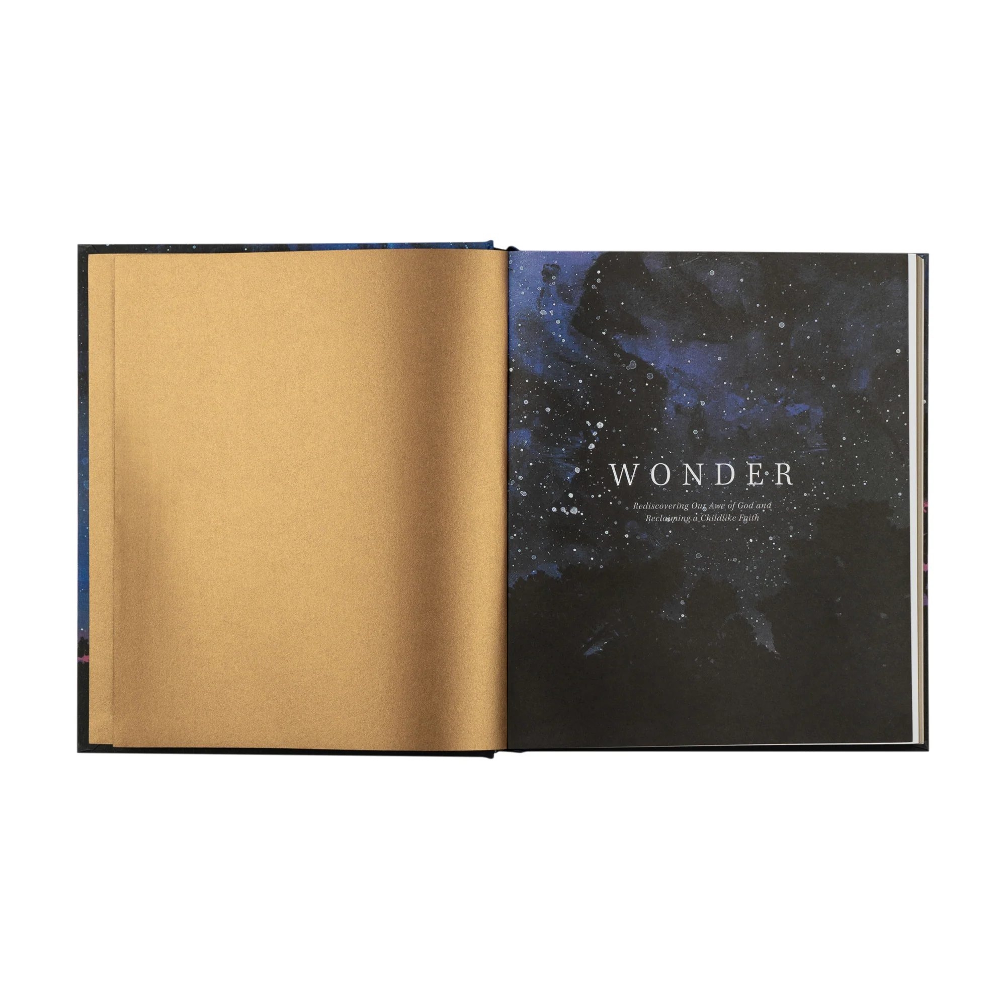 Wonder by Alicia Hamilton - Image 5